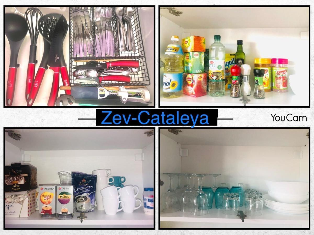 شقة Zev- Cataleya Mamaia Nord Năvodari المظهر الخارجي الصورة